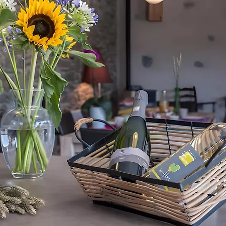 La Cave De Lami Vue Sur Vignoble